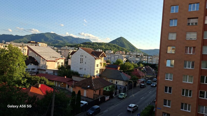 Scriitorilor, Florilor.
